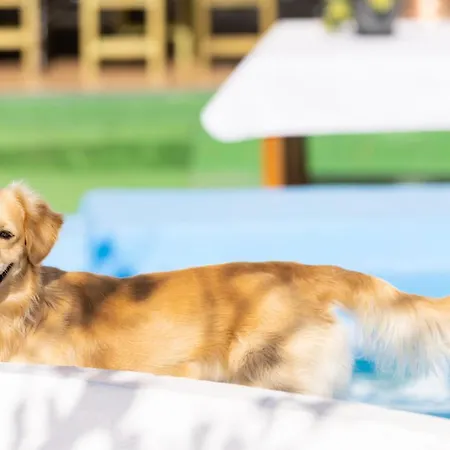 Hébergement de vacances Mountain, Seaviews, And Pool Relax By Sunkeyrents Fasnia