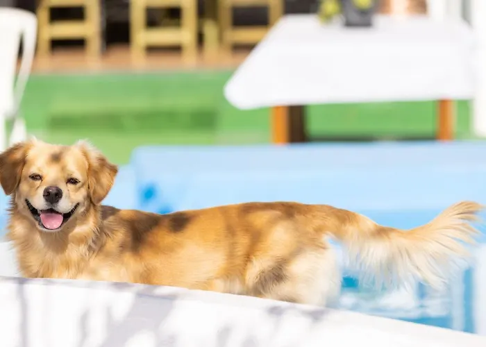 Holiday home Mountain, Seaviews, And Pool Relax By Sunkeyrents Fasnia